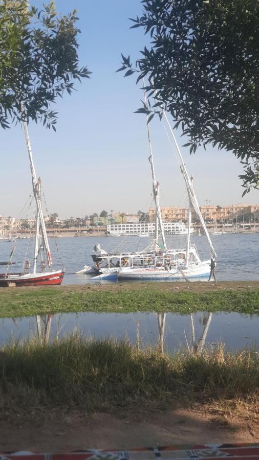 Villa Victoria Old Nile View Luxor Bagian luar foto